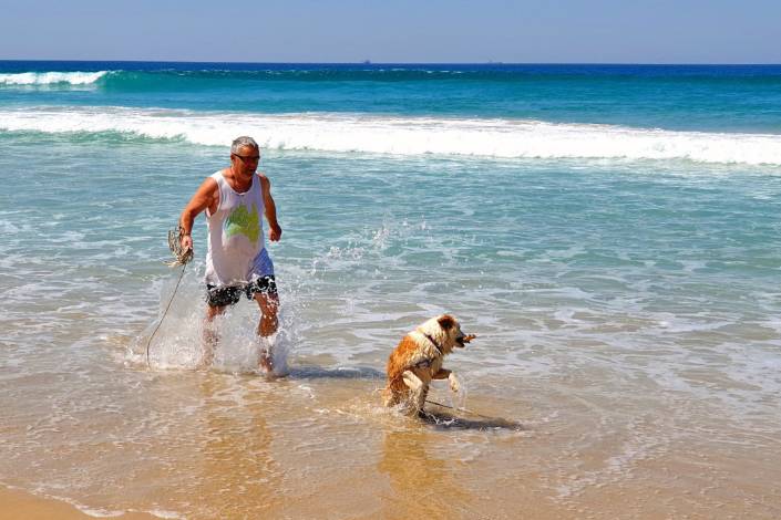 House sitter Larry walking dog Zephyr on the beach